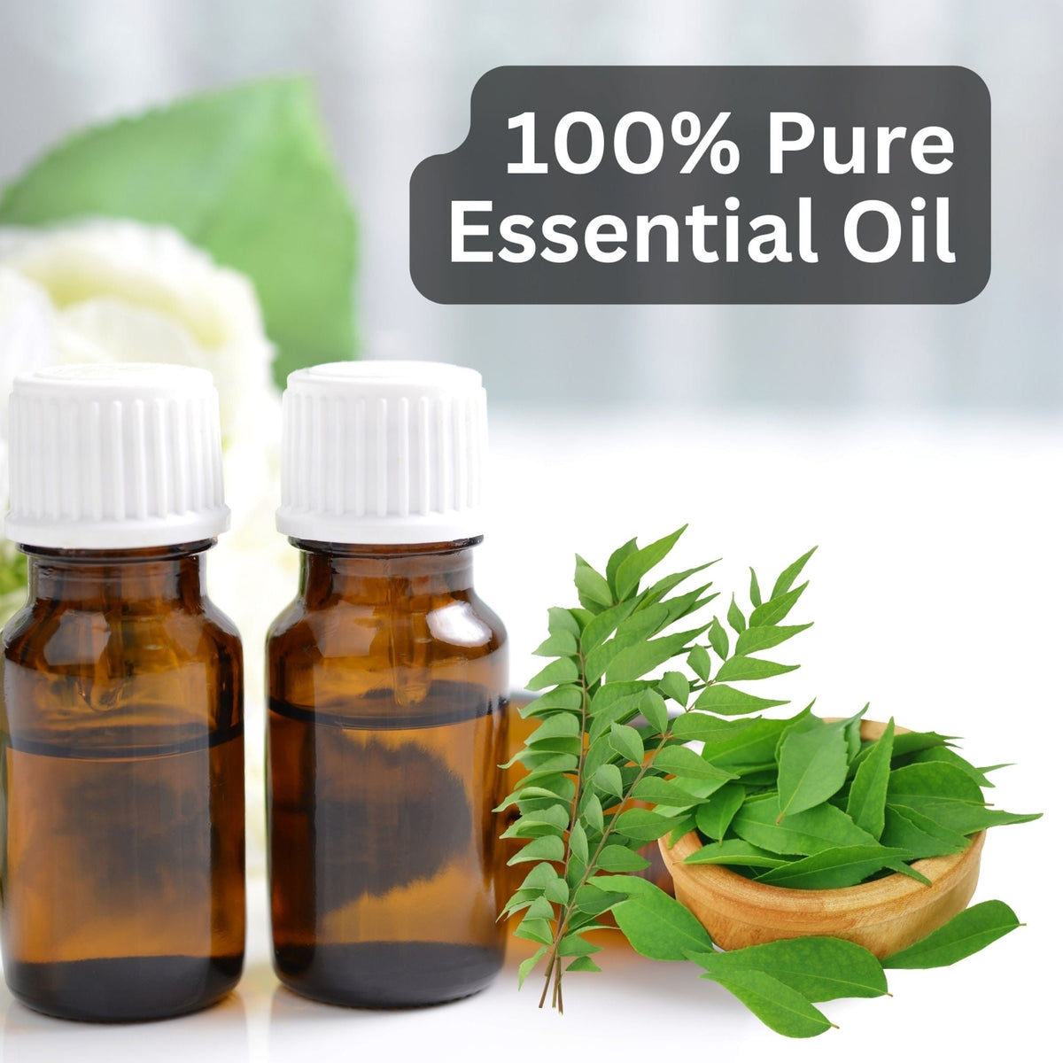 Aroma Treasures Curry Leaf Pure Essential Oil | Grocsy
