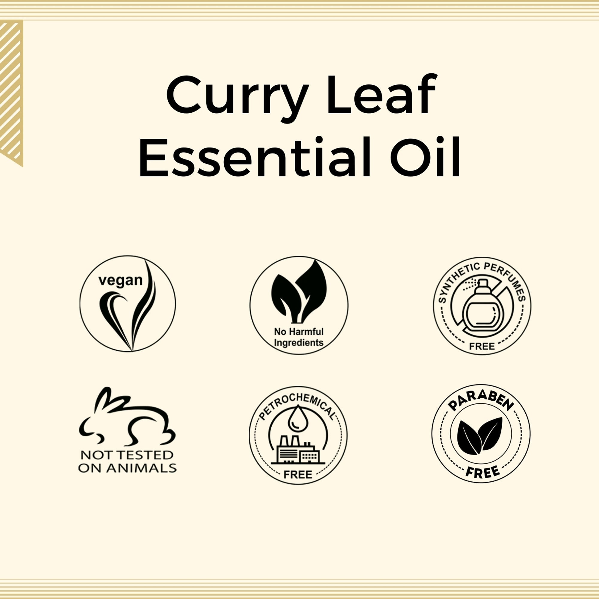 Aroma Treasures Curry Leaf Pure Essential Oil | Grocsy