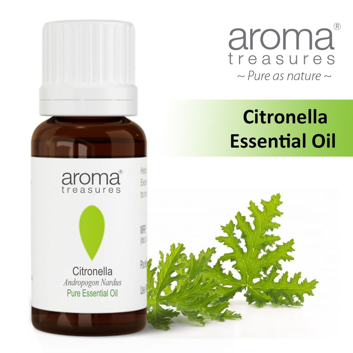 Aroma Treasures Citronella Pure Essential Oil | Grocsy