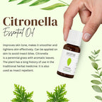 Aroma Treasures Citronella Pure Essential Oil | Grocsy
