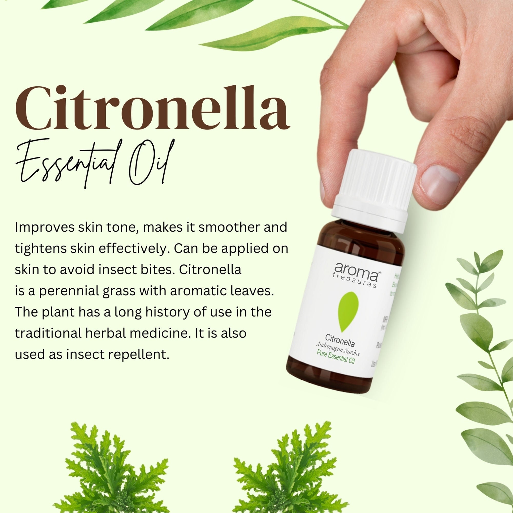 Aroma Treasures Citronella Pure Essential Oil | Grocsy