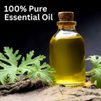 Aroma Treasures Citronella Pure Essential Oil | Grocsy