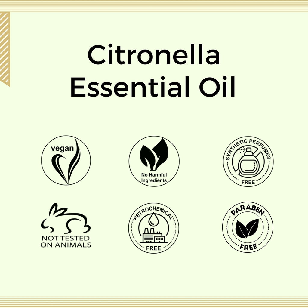 Aroma Treasures Citronella Pure Essential Oil | Grocsy