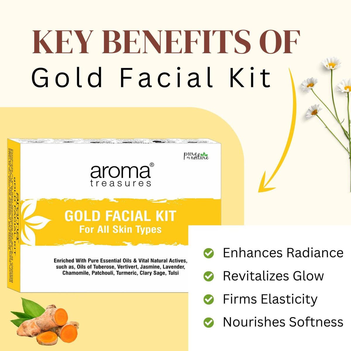 Aroma Treasures Gold Facial Kit | Grocsy