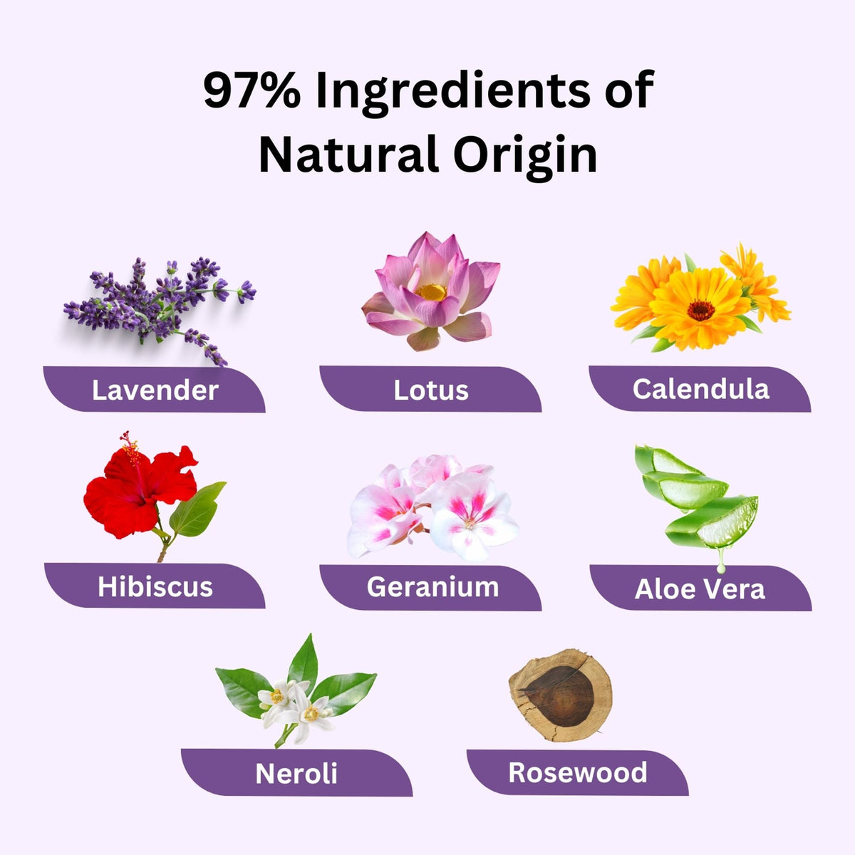 Aroma Treasures Lavender Face Wash | Grocsy