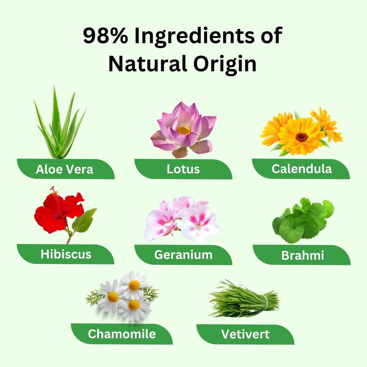 Aroma Treasures Aloe Vera Face Wash | Grocsy