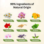 Aroma Treasures Chamomile Vitamin-E- Soothing & Moisturizing Lotion | Grocsy