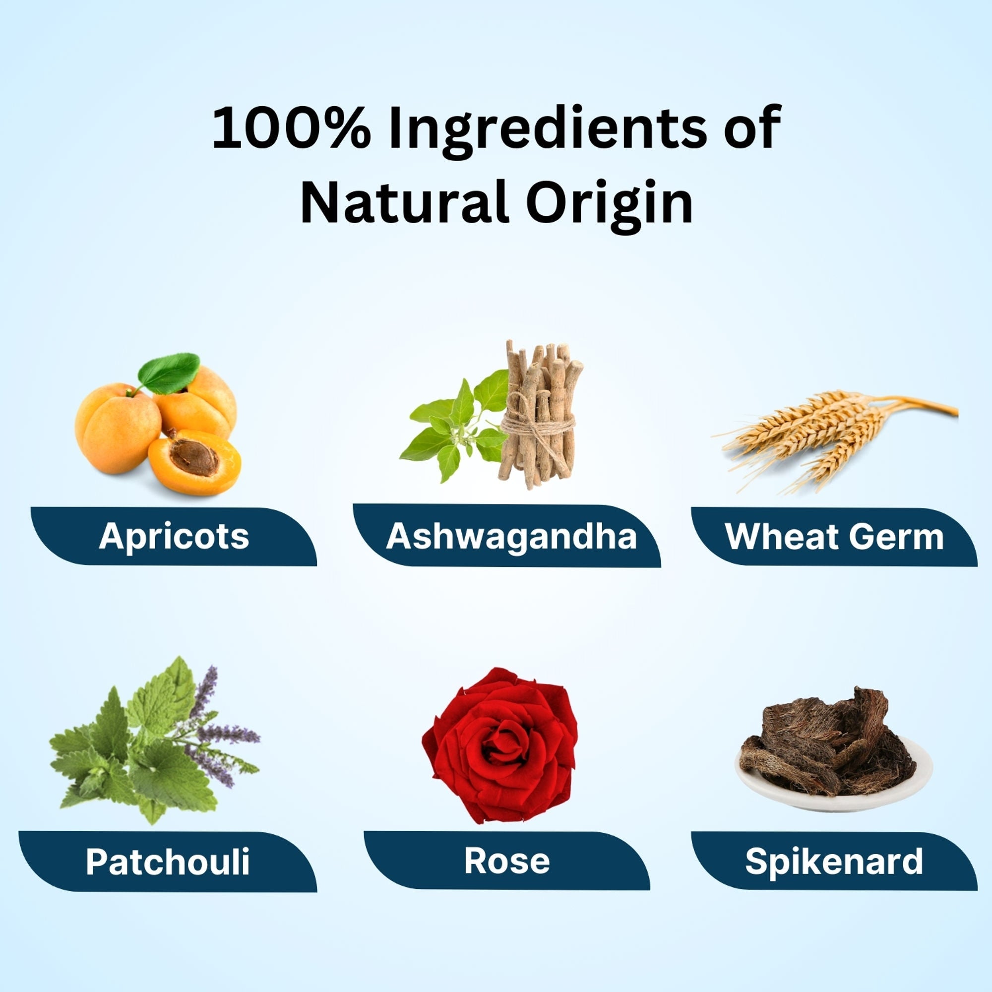 Aroma Treasures Regenerating Uplifting Oil | Grocsy