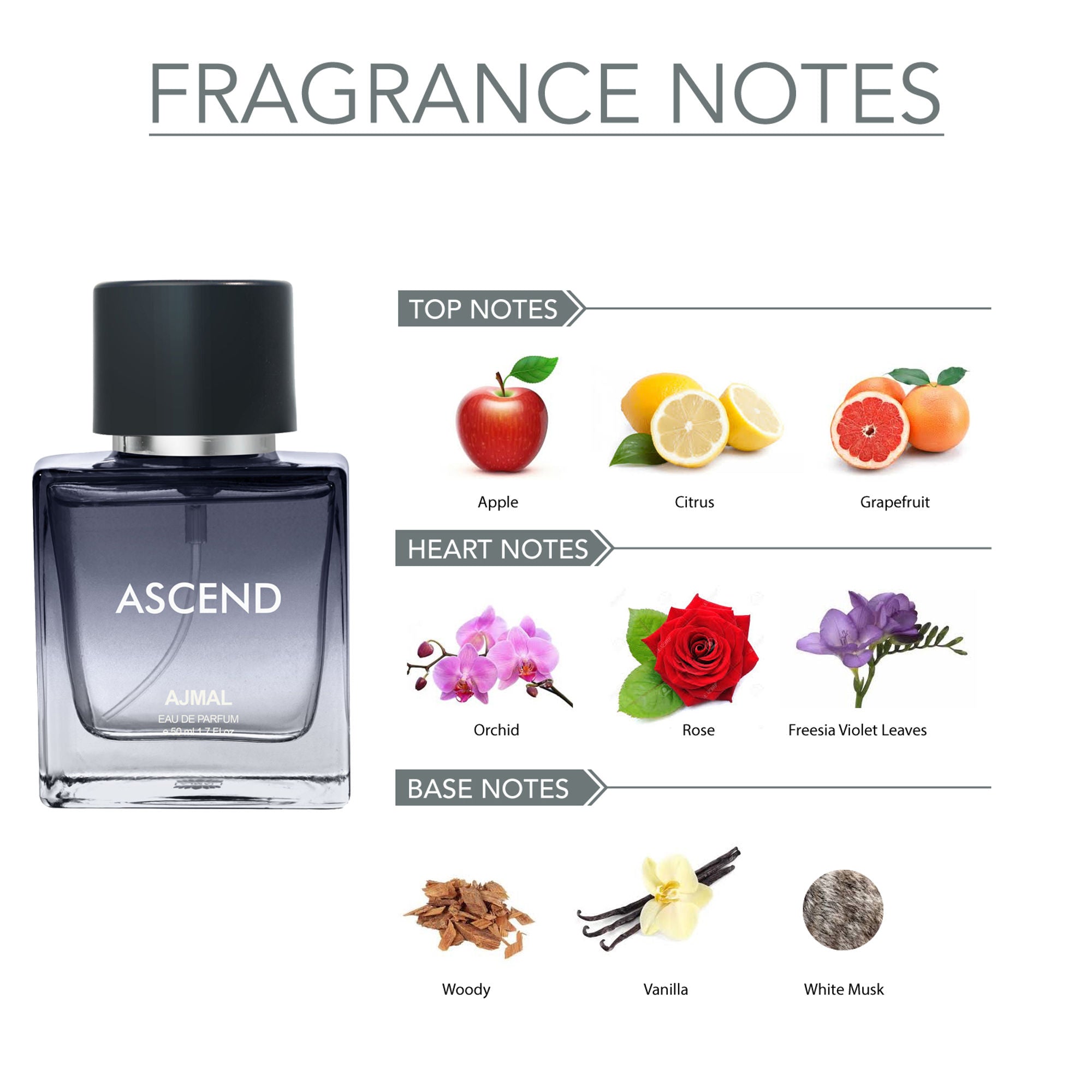 Ajmal India Ascend EDP Perfume For Women And Men | Grocsy