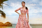 House of Panchhi Coral Net Sequins And Thread Embroidery Lehenga Choli & Dupatta | Grocsy