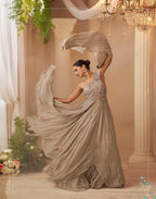 Anaita Chiku Chinon Silk Stitched Gown With Embroidery Work | Grocsy