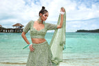 House of Panchhi Lime Green Net Sequins, Zarkan And Thread Embroidery Lehenga Choli & Dupatta | Grocsy