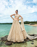 House of Panchhi Cream Net Sequins, Zarkan And Thread Embroidery Lehenga Choli & Dupatta | Grocsy