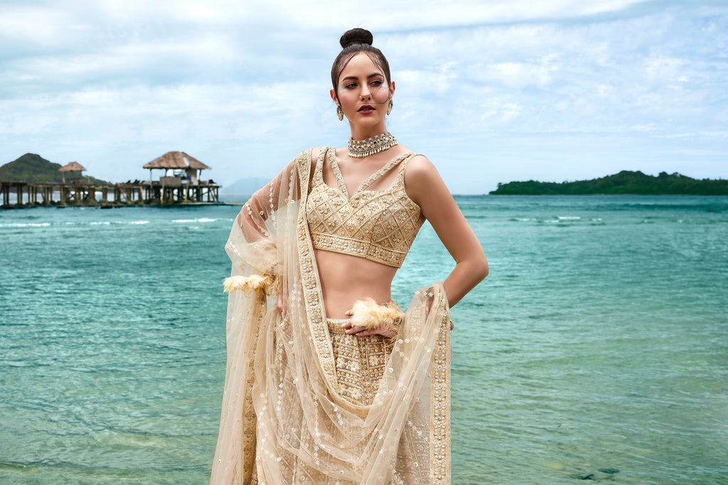House of Panchhi Cream Net Sequins, Zarkan And Thread Embroidery Lehenga Choli & Dupatta | Grocsy