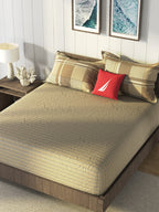 Nautica Brown & Brown Striped Cotton 160 TC King Bedsheet With 2 Pillow Covers | Grocsy
