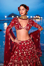 House of Panchhi Red Net Sequins, Mirror And Thread Embroidery Lehenga Choli & Dupatta | Grocsy