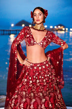House of Panchhi Red Net Sequins, Mirror And Thread Embroidery Lehenga Choli & Dupatta | Grocsy