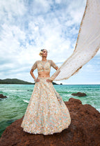 House of Panchhi Cream Net Multi Colour Sequins, Zarkans And Thread Embroidery Lehenga Choli & Dupatta | Grocsy