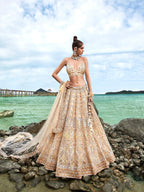 House of Panchhi Cream Net Sequins, Zarkan And Thread Embroidery Lehenga Choli & Dupatta | Grocsy