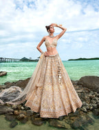 House of Panchhi Cream Net Sequins, Zarkan And Thread Embroidery Lehenga Choli & Dupatta | Grocsy