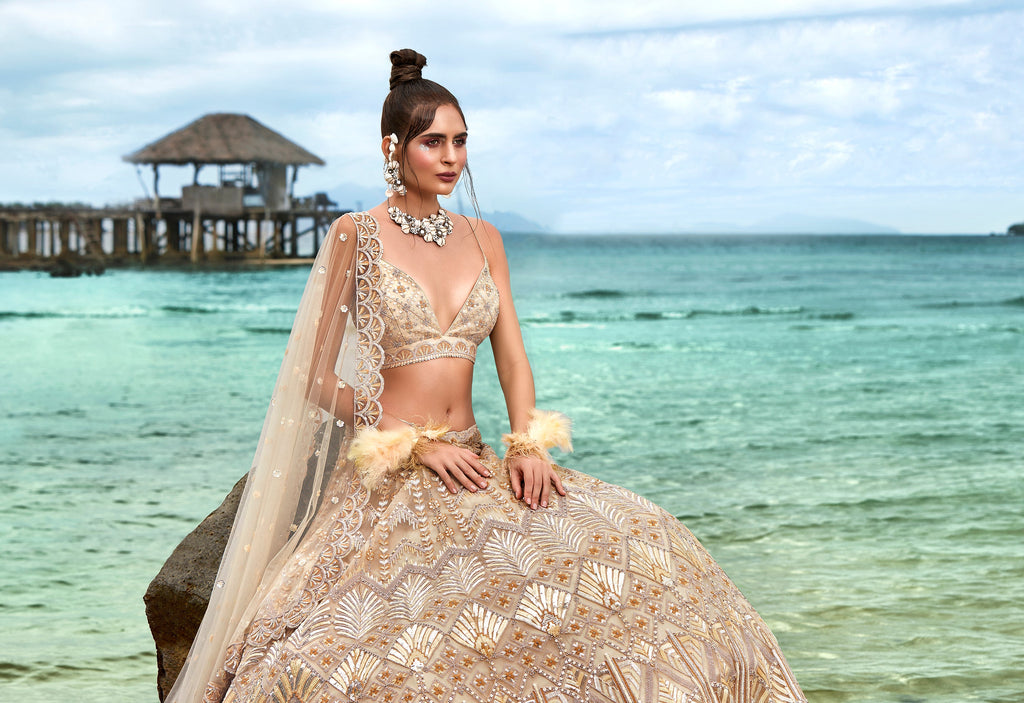 House of Panchhi Cream Net Sequins, Zarkan And Thread Embroidery Lehenga Choli & Dupatta | Grocsy
