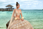 House of Panchhi Cream Net Sequins, Zarkan And Thread Embroidery Lehenga Choli & Dupatta | Grocsy