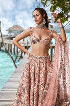 House of Panchhi Peach Organza Sequins, Moti And Thread Embroidery Lehenga Choli & Dupatta | Grocsy