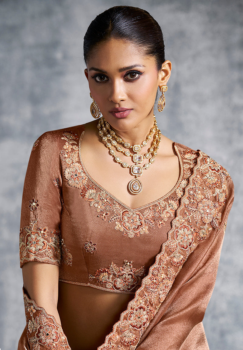 Monjolika Fashion Brown Tissue Traditional Saree with Embroidered, Resham and Thread Work for Ceremonial | Grocsy