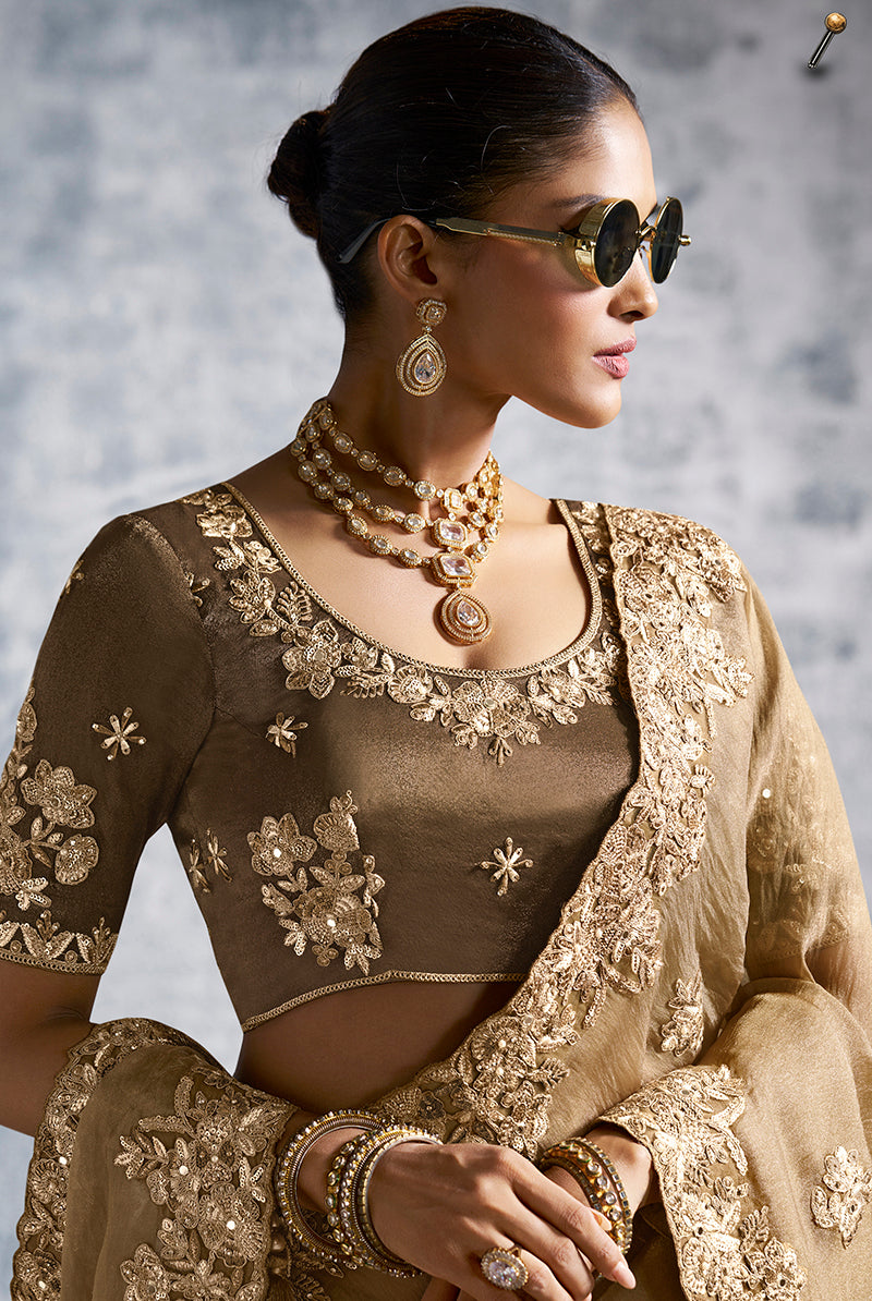 Monjolika Fashion Beige Tissue Traditional Saree with Embroidered, Resham and Thread Work for Ceremonial | Grocsy