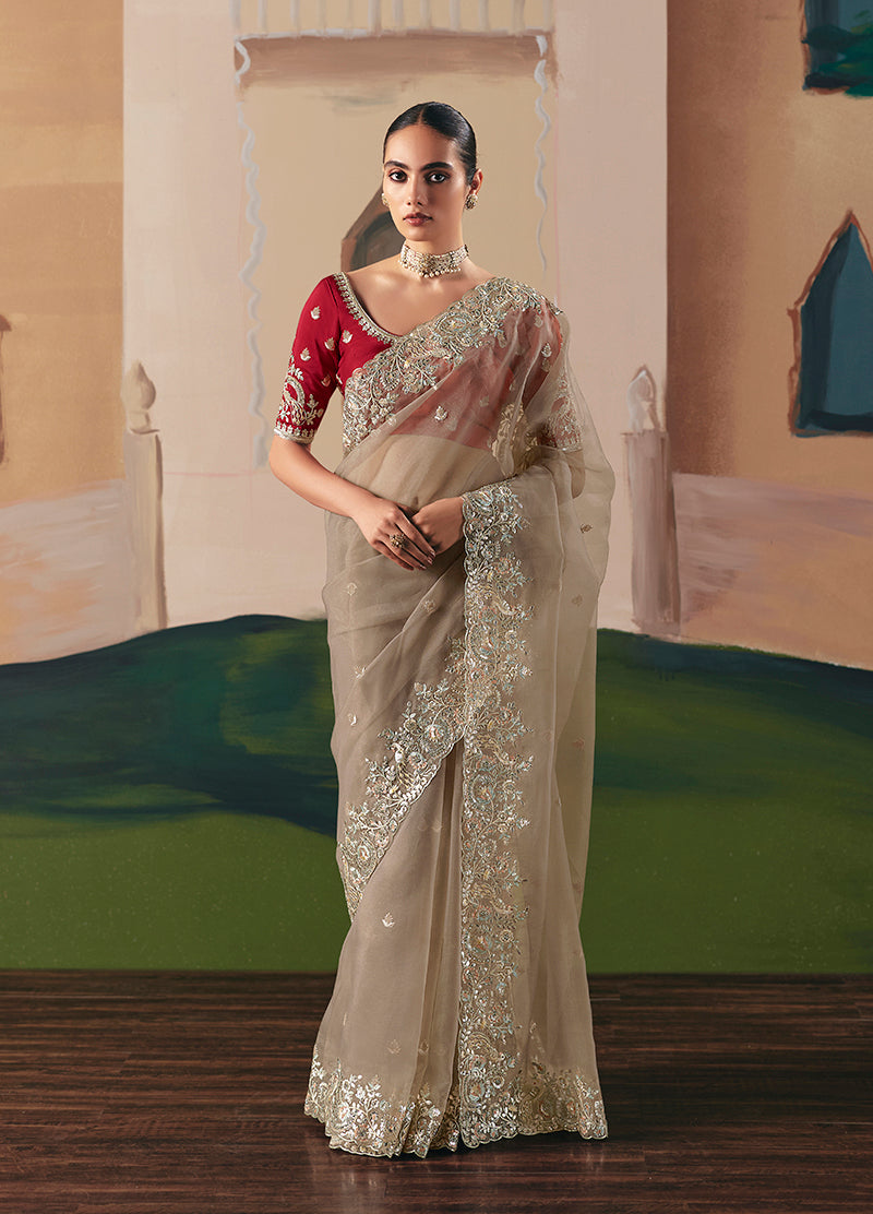 Monjolika Fashion Embroidered Beige Fancy Fabric Party Designer Saree | Grocsy