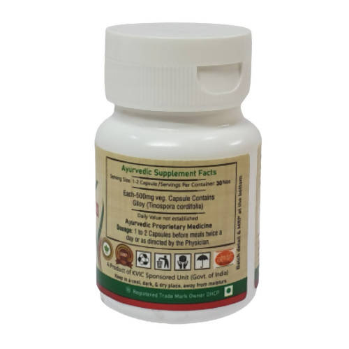 Deep Ayurveda Giloy 500mg Veg Capsules | Grocsy