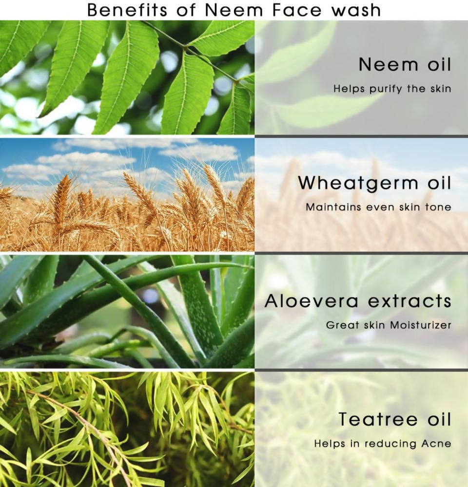 Khadi Natural Neem Herbal Face Wash | Grocsy