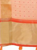 Shree Shyam Fashion Florance Peach Organza Saree | Grocsy