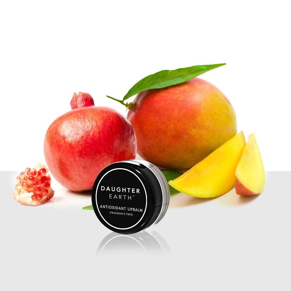 Daughter Earth Antioxidant Lip Balm | Grocsy