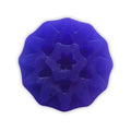 Duh Exotica Blueberry Blush Facial Cleansing Bar | Grocsy