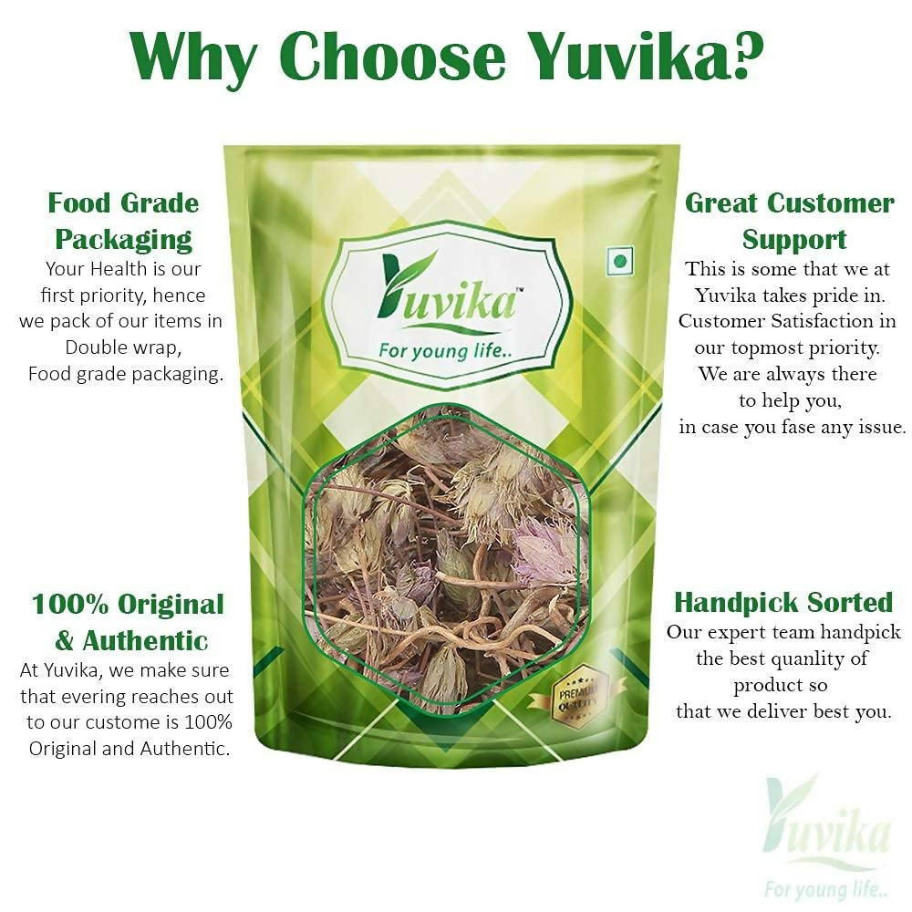 Yuvika Jufa - Zufa - Hyssopus Officinalis Linn - Hyssop - Issopo - Holy Herb | Grocsy