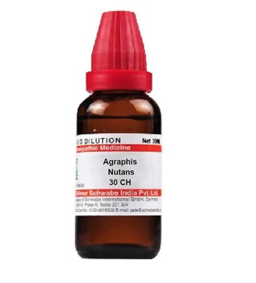 Dr. Willmar Schwabe India Agraphis Nutans Dilution | Grocsy