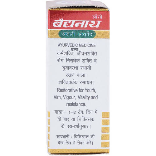 Baidyanath Jhansi Swarna Makar-D (Swarna Kesar Yukta) Tablets | Grocsy