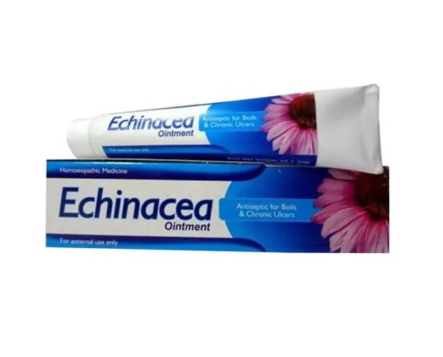 St. George's Homeopathy Echinacea Ointment | Grocsy