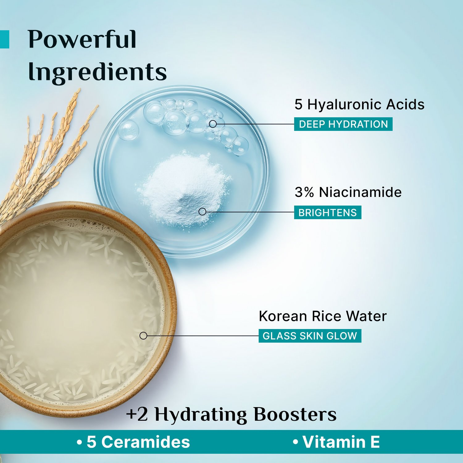 Pilgrim Korean Rice Water Hydra Glow Light Gel Moisturizer | Grocsy