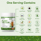 Inlife Plant Protein Powder Coffee | Grocsy