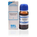 SBL Homeopathy Andrographis Paniculata Mother Tincture Q | Grocsy