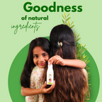 Botanical Luxuriate Tea Tree Natural Anti Lice and Nits Shampoo | Grocsy