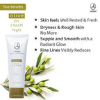 Lambre Olive Oil Night Cream | Grocsy