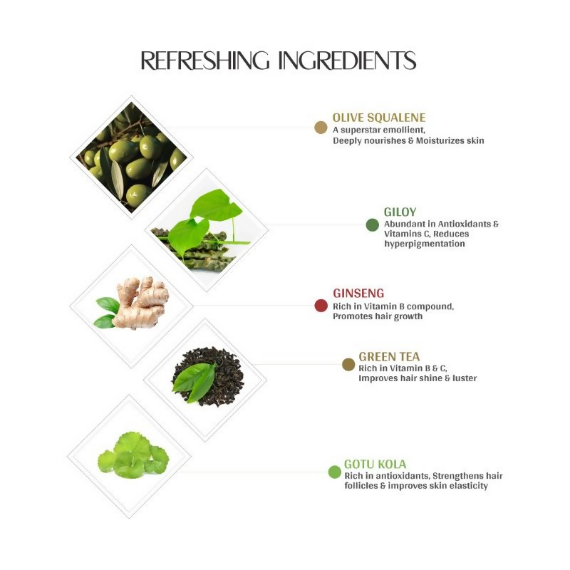 Mintree Olive Hair & Body Wash | Grocsy