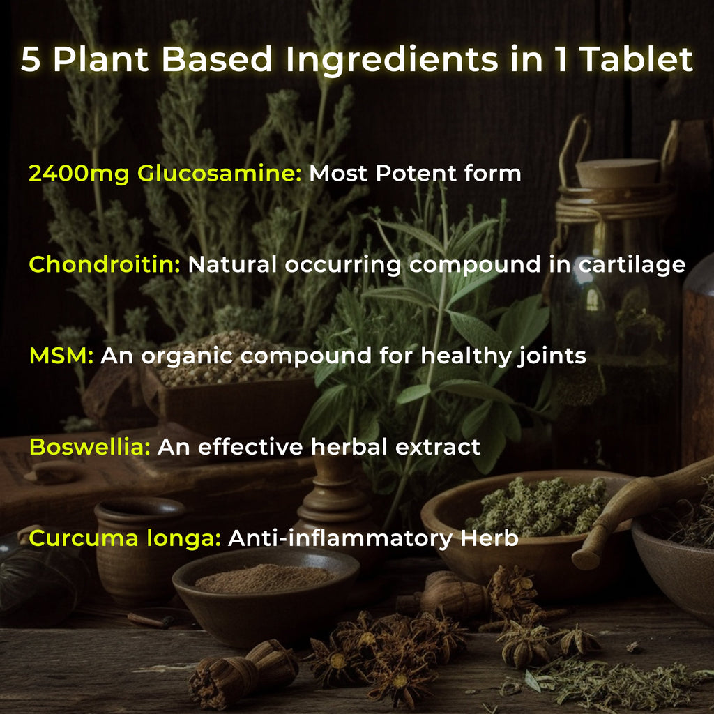 Health Veda Organics Plant Based Glucosamine Chondroitin & MSM Tablets | Grocsy