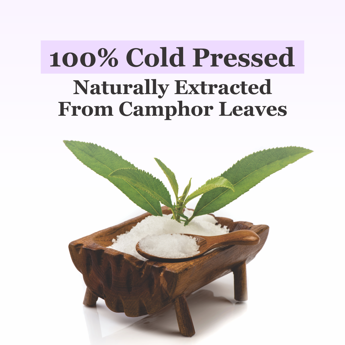 Nuerma Science Camphor (Kapoor) Oil | Grocsy