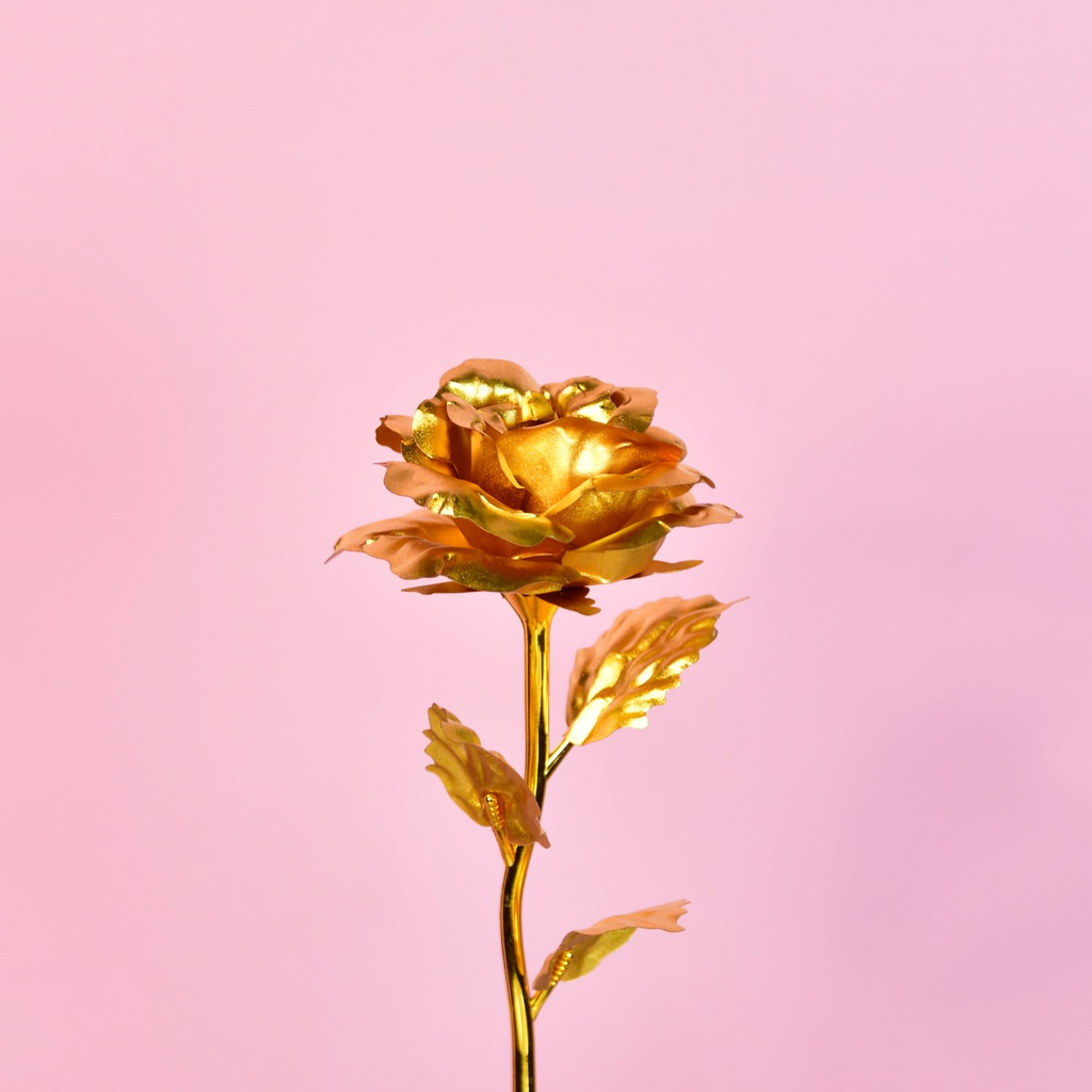 Sowpeace Golden Love | Grocsy