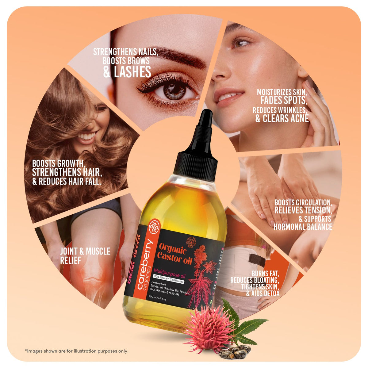 Careberry Organic Cold Pressed Castor Oil (Arandi Oil) | Grocsy