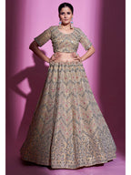 Myra Tan Gota Silk Embroidered Designer Lehenga Choli | Grocsy